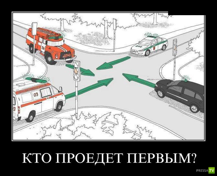 ������������ �� ����, ����� 12 (31 ����)