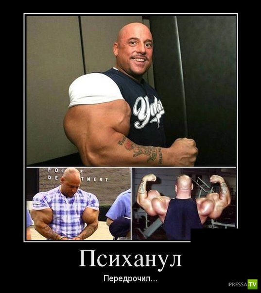 ������������ �� ����, ����� 12 (31 ����)