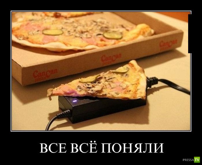 ������������ �� ����, ����� 12 (31 ����)