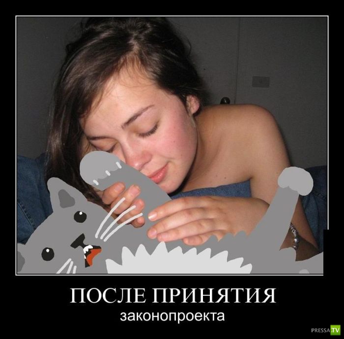 ������������ �� ����, ����� 12 (31 ����)