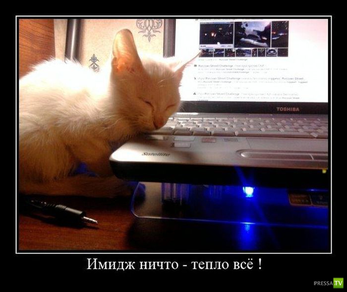 ������������ �� ����, ����� 12 (31 ����)