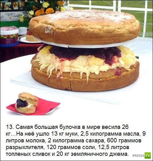 ���������� ����� �� ����� �������� �������� (25 ����)