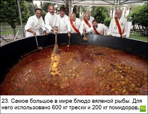 ���������� ����� �� ����� �������� �������� (25 ����)