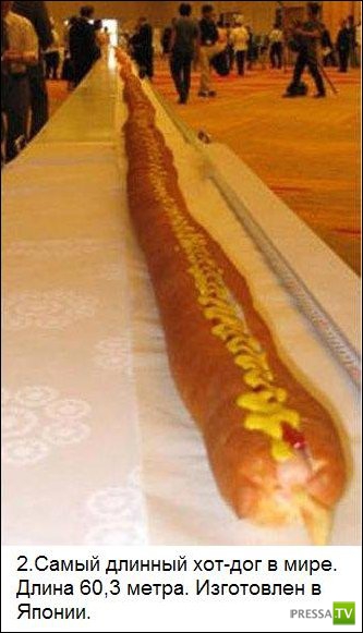 ���������� ����� �� ����� �������� �������� (25 ����)