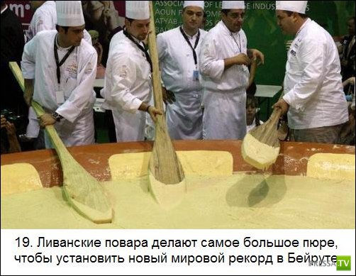 ���������� ����� �� ����� �������� �������� (25 ����)