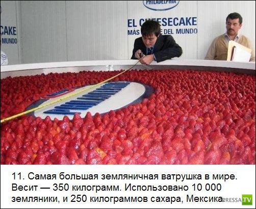 ���������� ����� �� ����� �������� �������� (25 ����)