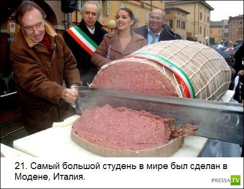 ���������� ����� �� ����� �������� �������� (25 ����)