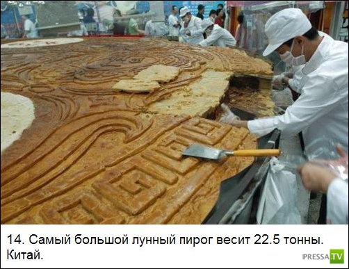 ���������� ����� �� ����� �������� �������� (25 ����)