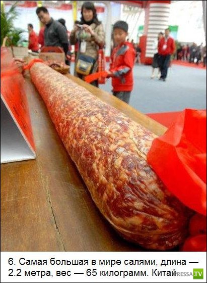 ���������� ����� �� ����� �������� �������� (25 ����)