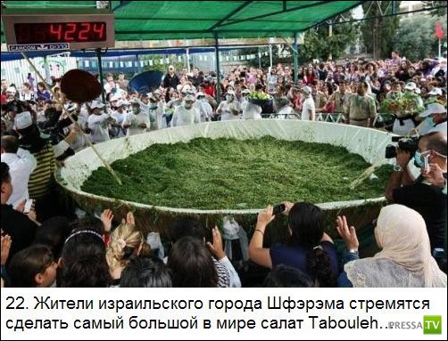 ���������� ����� �� ����� �������� �������� (25 ����)