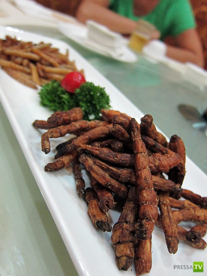 ��������� �������� ������� - Guolizhuang (13 ����)