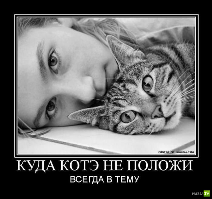 ������������ �� ����, ����� 13 (30 ����)