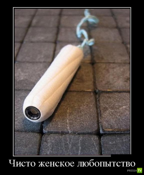 ������������ �� ����, ����� 13 (30 ����)