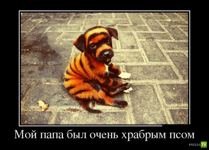 ������������ �� ����, ����� 13 (30 ����)