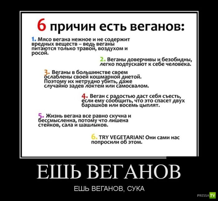 ������������ �� ����, ����� 13 (30 ����)