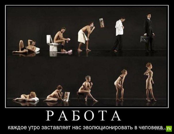 ������������ �� ����, ����� 13 (30 ����)