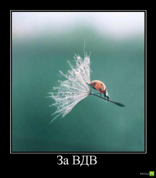 ������������ �� ����, ����� 13 (30 ����)