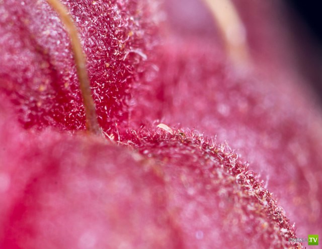 ����� ������ � ����� ����� ���� (6 ����)