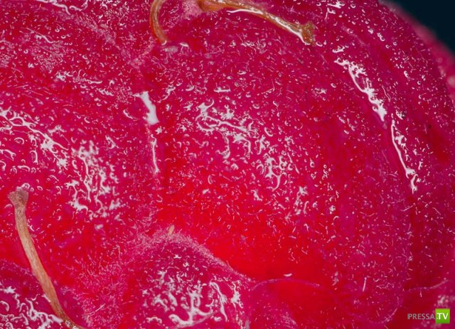 ����� ������ � ����� ����� ���� (6 ����)