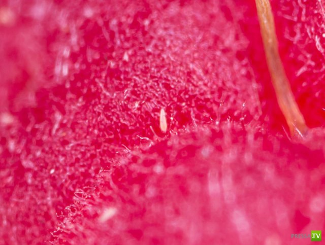 ����� ������ � ����� ����� ���� (6 ����)