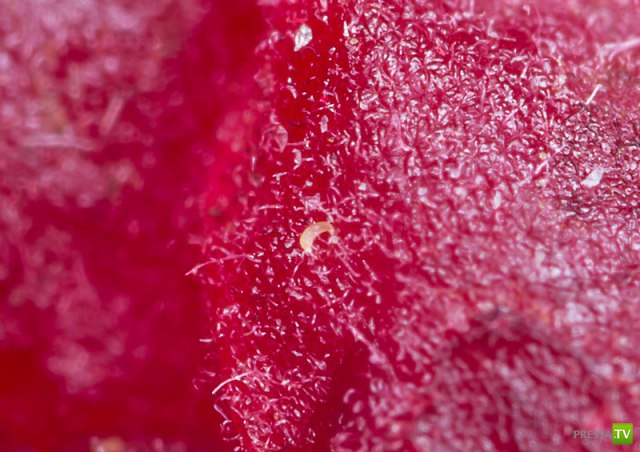 ����� ������ � ����� ����� ���� (6 ����)