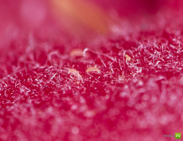 ����� ������ � ����� ����� ���� (6 ����)