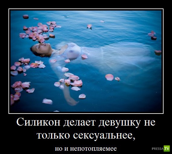 ������������ �� ����, ����� 14 (29 ����)