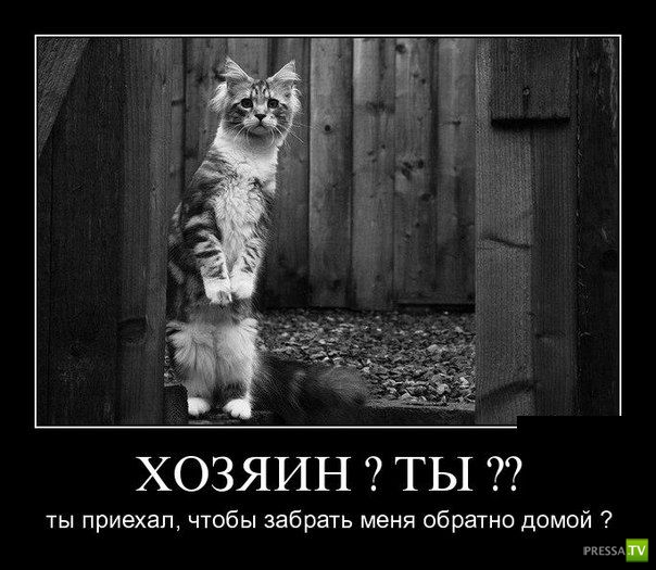 ������������ �� ����, ����� 14 (29 ����)