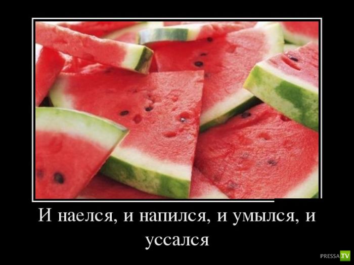 ������������ �� ����, ����� 14 (29 ����)