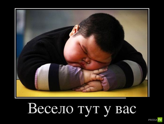 ������������ �� ����, ����� 14 (29 ����)