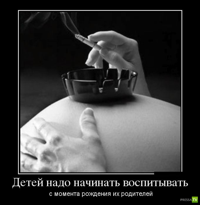 ������������ �� ����, ����� 14 (29 ����)