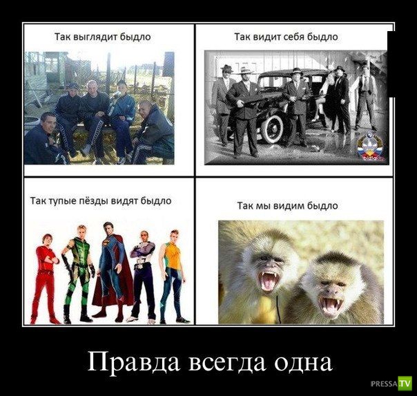 ������������ �� ����, ����� 14 (29 ����)