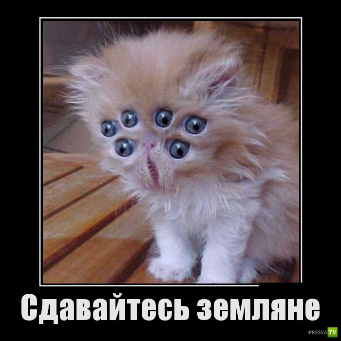 ������������ �� ����, ����� 14 (29 ����)