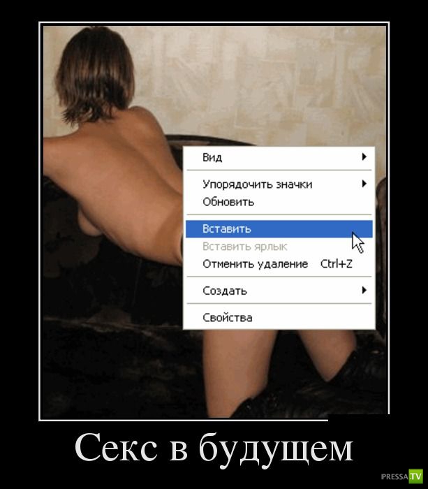 ������������ �� ����, ����� 14 (29 ����)