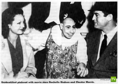 ���� ��������... �����!!! (40 ����)