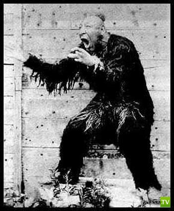 ���� ��������... �����!!! (40 ����)