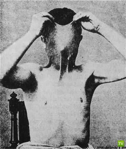 ���� ��������... �����!!! (40 ����)