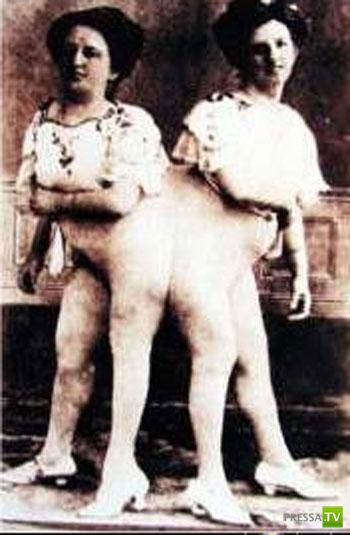 ���� ��������... �����!!! (40 ����)