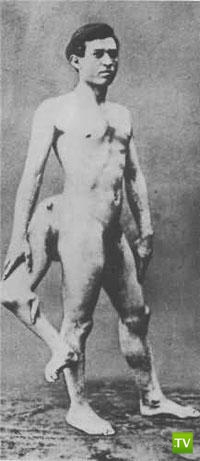 ���� ��������... �����!!! (40 ����)