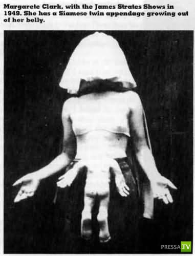 ���� ��������... �����!!! (40 ����)