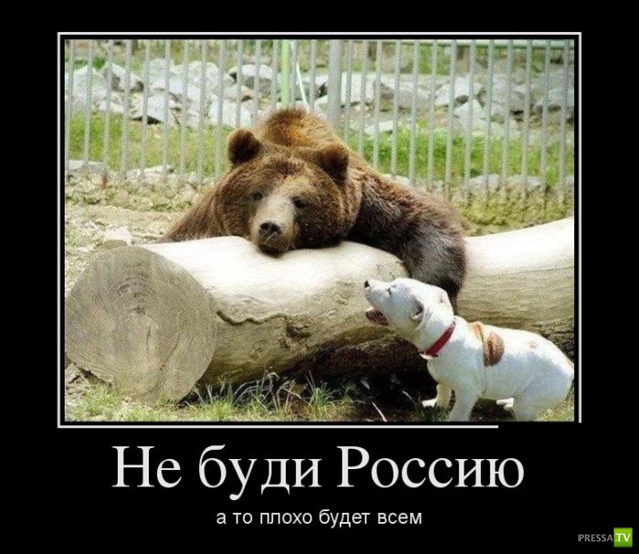 ������������ �� ����, ����� 16 (30 ����)