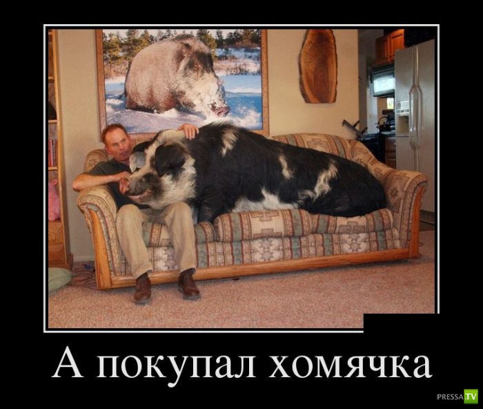 ������������ �� ����, ����� 16 (30 ����)