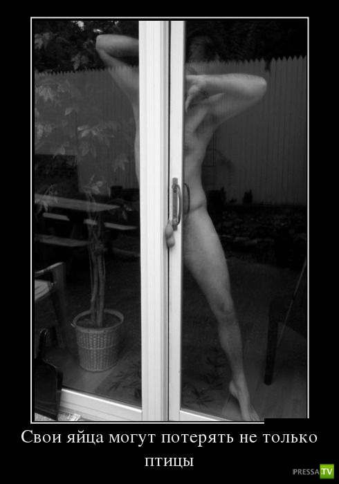 ������������ �� ����, ����� 16 (30 ����)