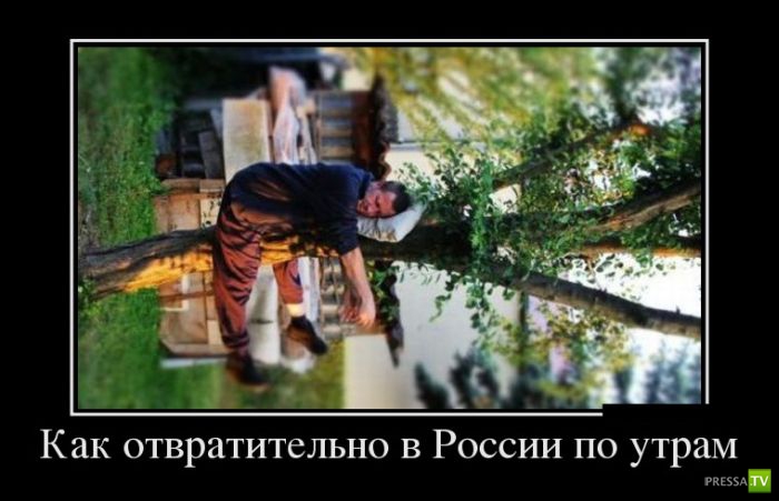 ������������ �� ����, ����� 16 (30 ����)