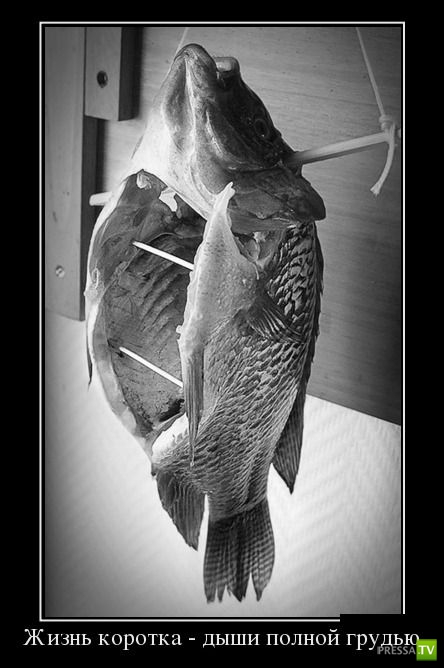 ������������ �� ����, ����� 16 (30 ����)