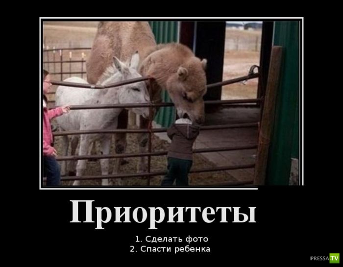 ������������ �� ����, ����� 17 (30 ����)