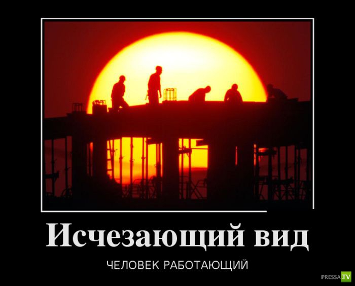 ������������ �� ����, ����� 17 (30 ����)