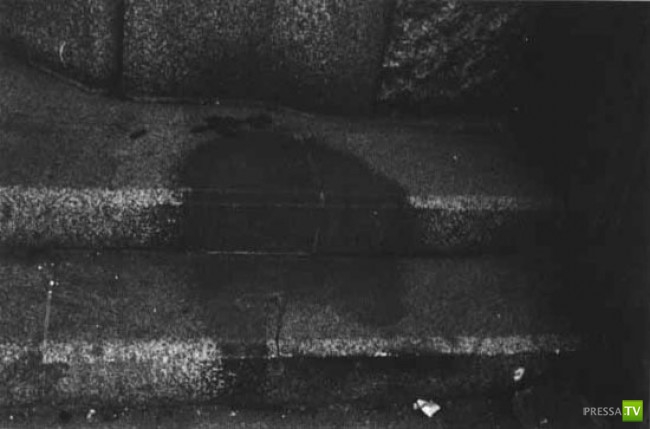 ���� �������� ����� �������� ������ (4 ����)