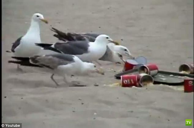 ��������� �������� � ������� (���� + �����)