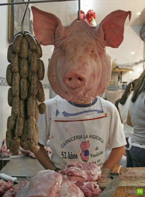 ���������� � ������� �������� (25 ����)